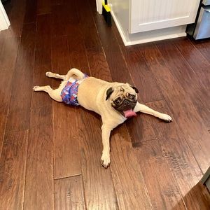 Meet your Posher, Erika